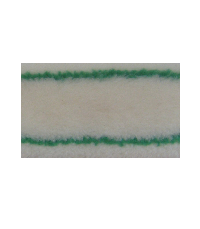 Roller fabric with green stripe